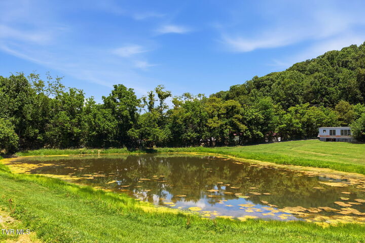 Property Photo:  381 Possum Hollow Road  TN 37615 