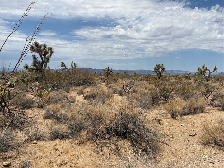 Property Photo:  244-08-203 Organ Pipe Pl  AZ 86438 