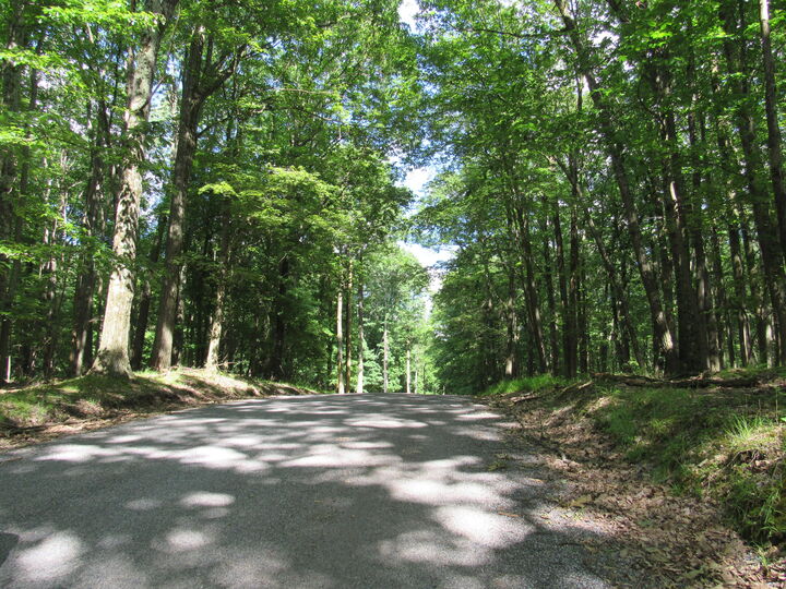 Property Photo: 14B San Andres PA 15801