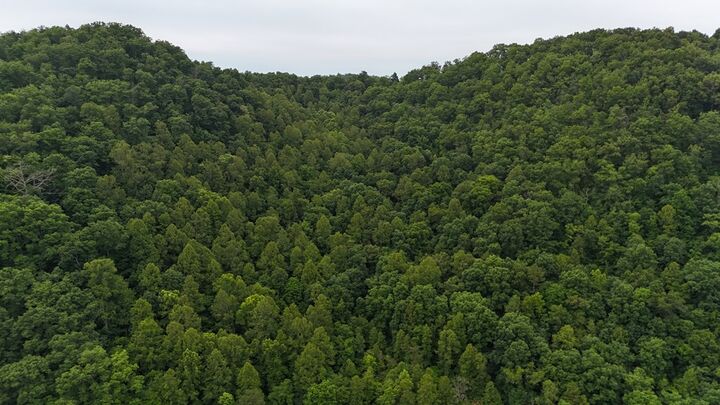 Property Photo:  0 Yellow Creek Rd  KY 41230 