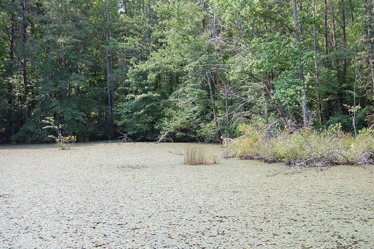 Property Photo: 57 Hugh Allison Road TN 37367