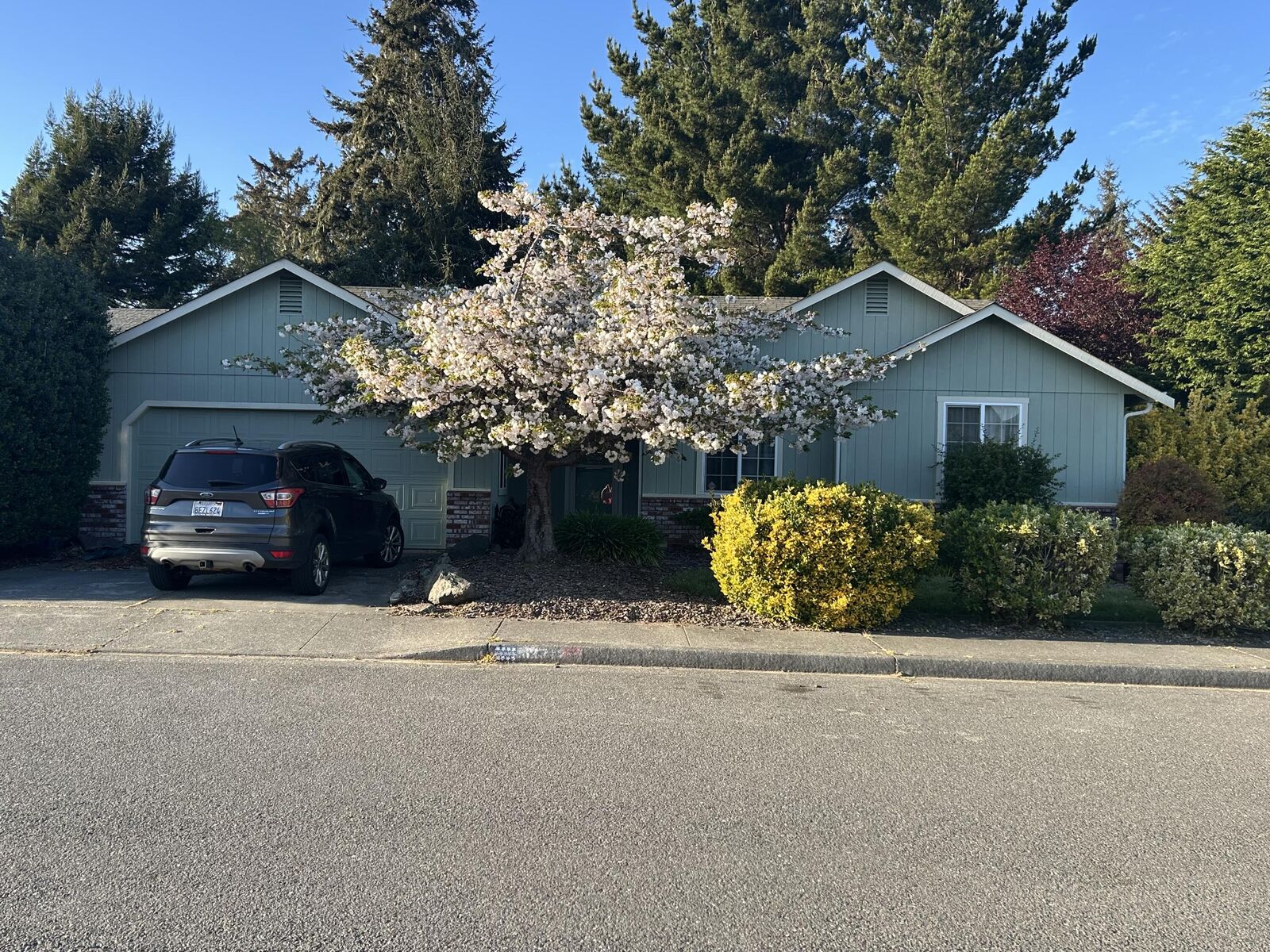 Property Photo:  1371 Fernwood Drive  CA 95519 