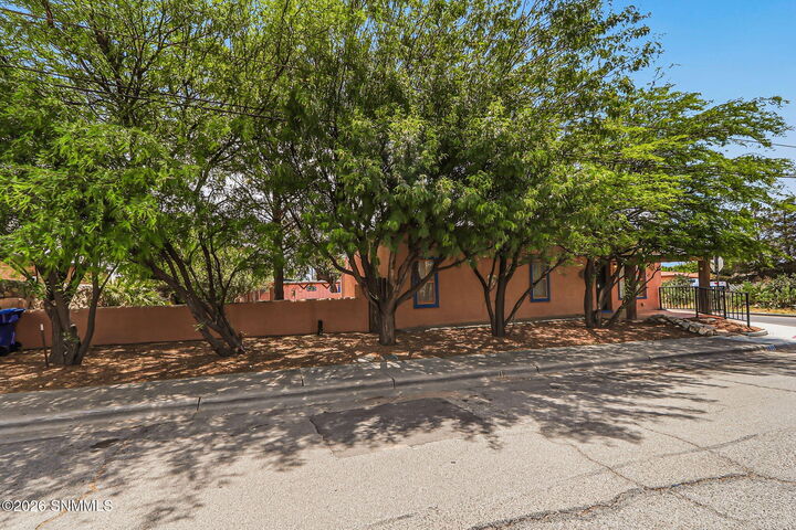 Property Photo:  639 S San Pedro Street  NM 88001 