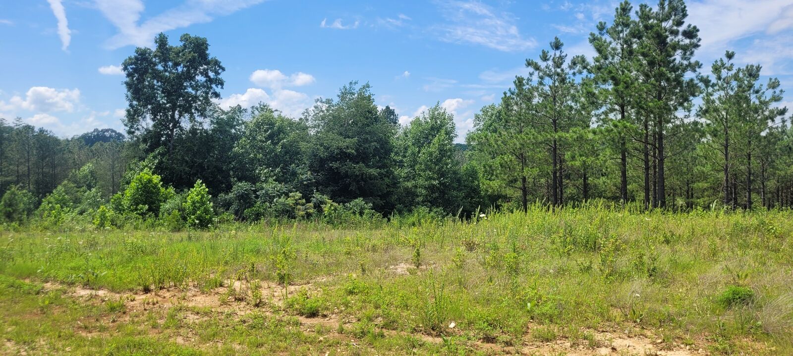 Property Photo: 96 Evergreen Dr TN 37058