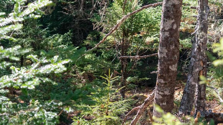 Property Photo:  Br-1 Bowers Road  NS B0T 1W0 