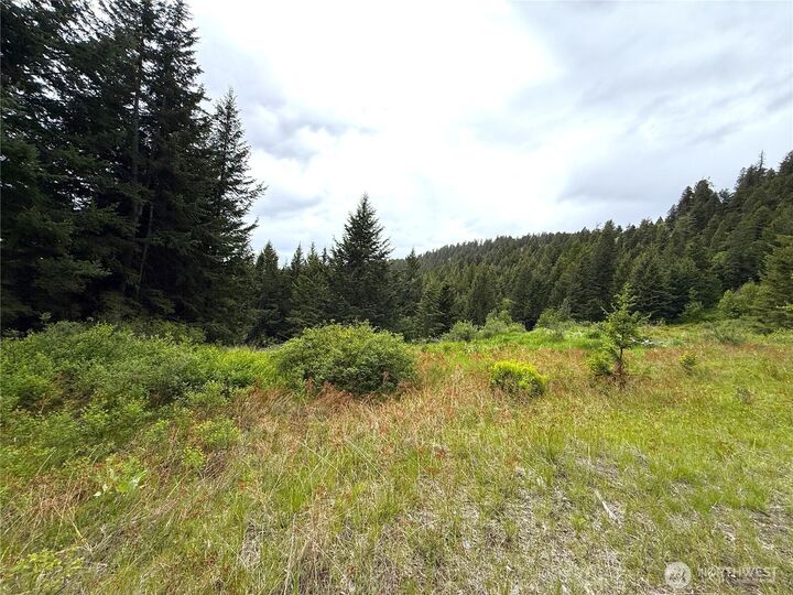 Property Photo:  0  Pontiac Ridge Road  WA 98844 