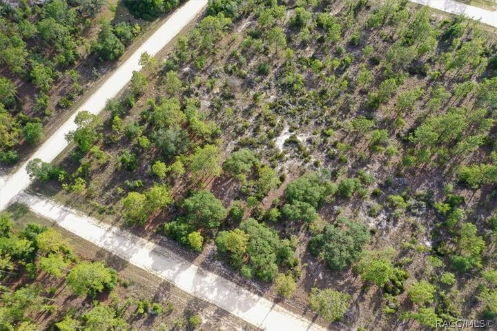 Property Photo:  0000 NE 132nd Lot 5 Terrace  FL 32696 