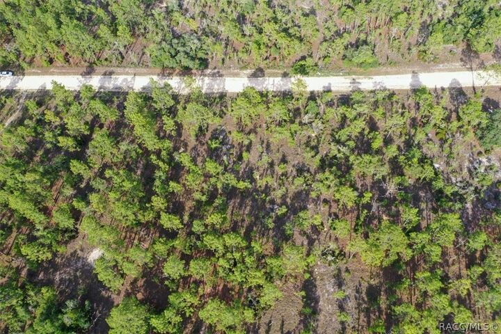 Property Photo:  0000 NE 132nd Lot 3 Terrace  FL 32696 