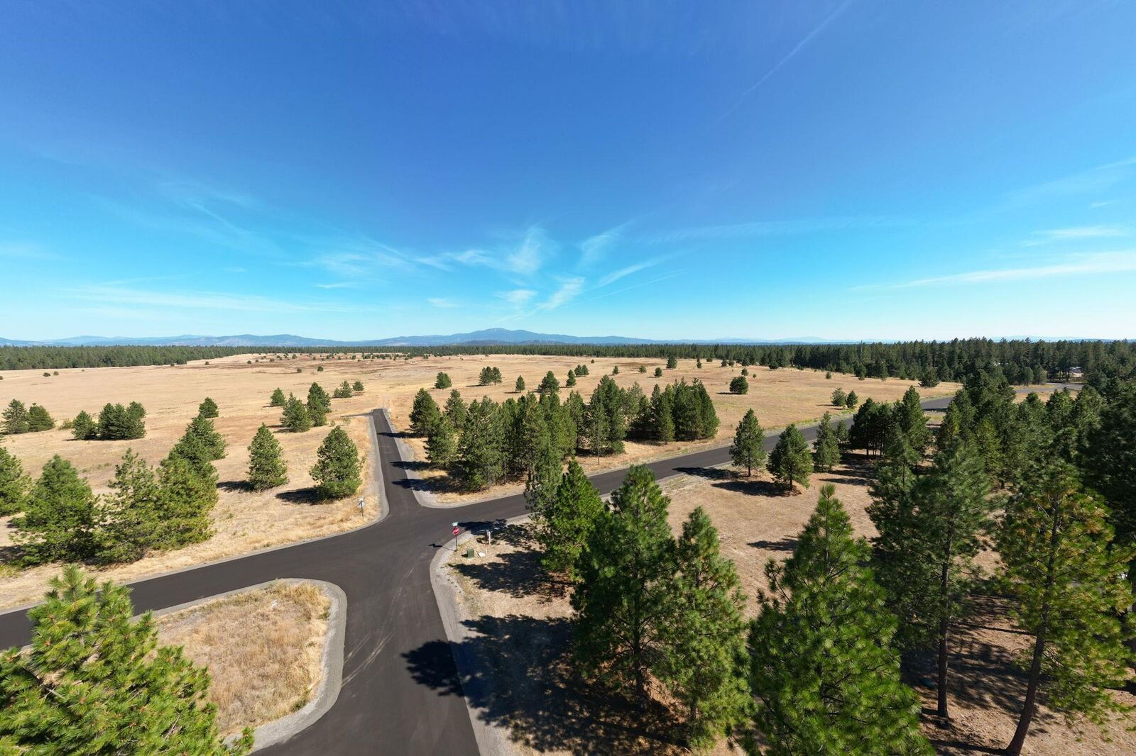Property Photo:  Nka N Tudor Rd Lot 2  WA 99006 
