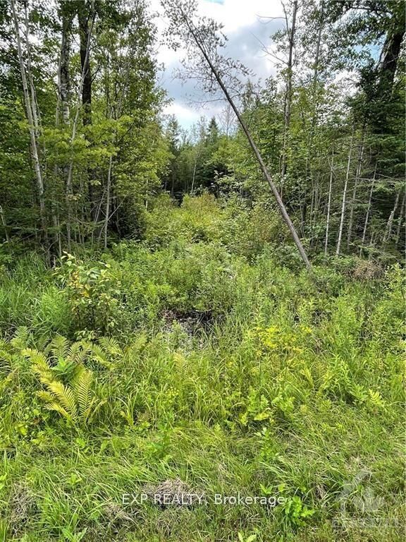 00 A1 Concession Road 4 Road — photo 1
