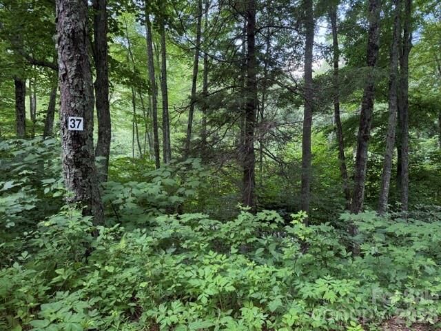 Property Photo:  Lot 37 Odalu Trail 37  NC 28751 