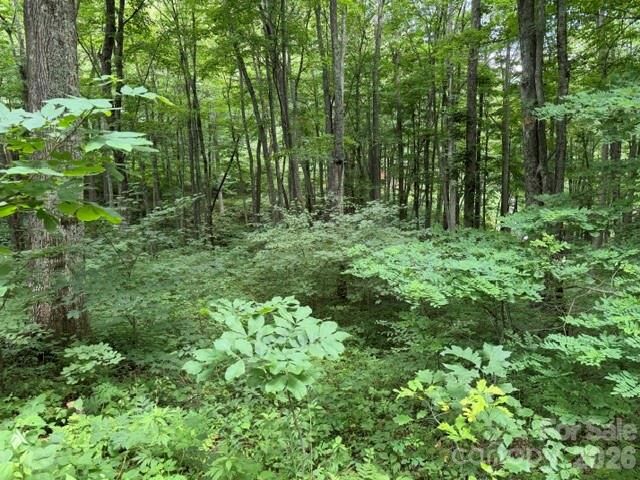 Property Photo:  Lot 35 Odalu Trail 35  NC 28751 