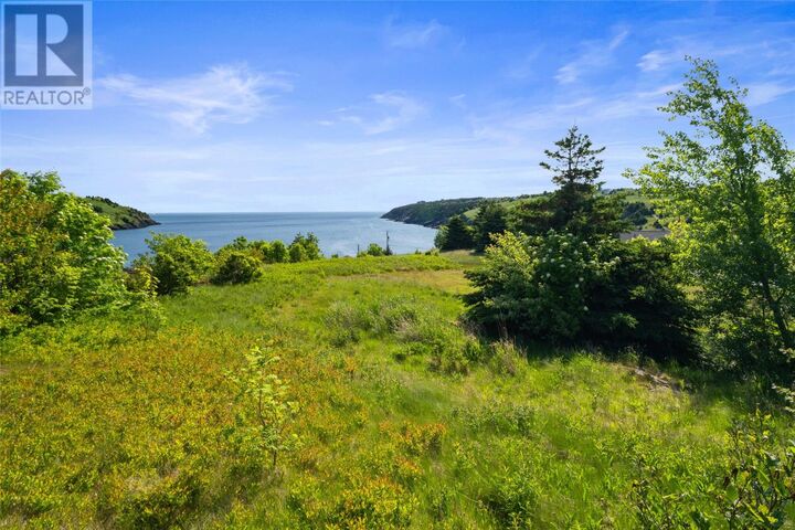 Property Photo: 41 Lower Street NL A1K 1B3