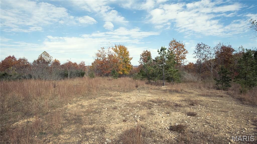 Property Photo:  0 Highway 49 Tract 5  MO 63957 