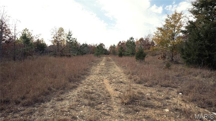 Property Photo:  0 Highway 49 Tract 1-13  MO 63957 