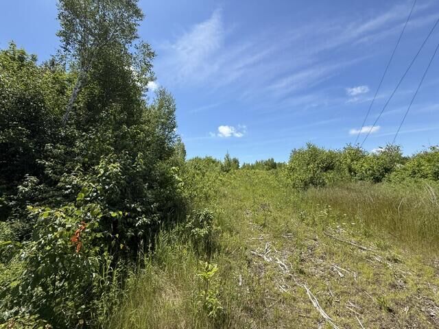 Property Photo: Map10lotp 214 ME 04657