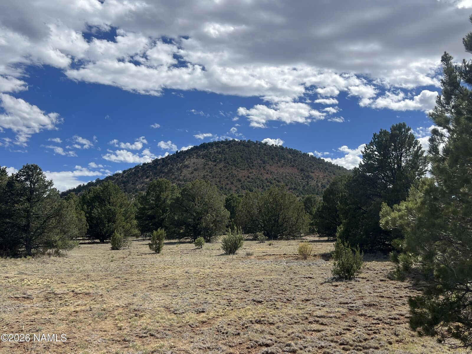 Property Photo:  7432 Daisy Drive  AZ 86046 