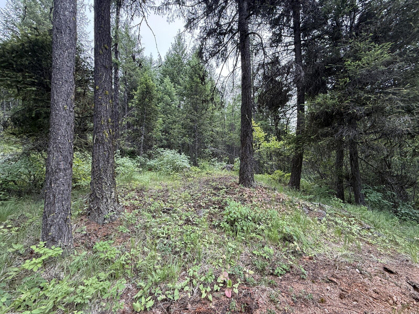 Property Photo:  Tbd Mule Deer Rd  WA 99166 