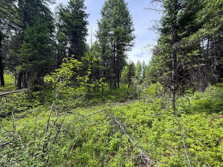 Property Photo:  Tbd Mule Deer Rd  WA 99166 