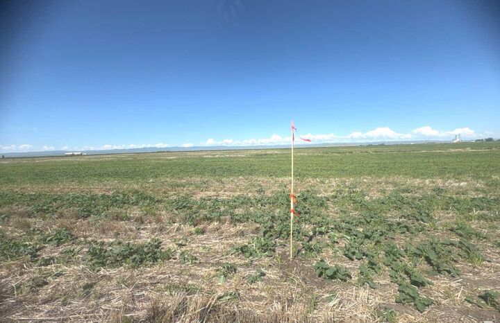 Property Photo: 427121se Highway #2 AB T0L 0T0