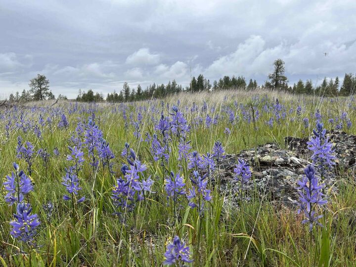 Property Photo:  21301 S Harrison Rd  WA 99008 