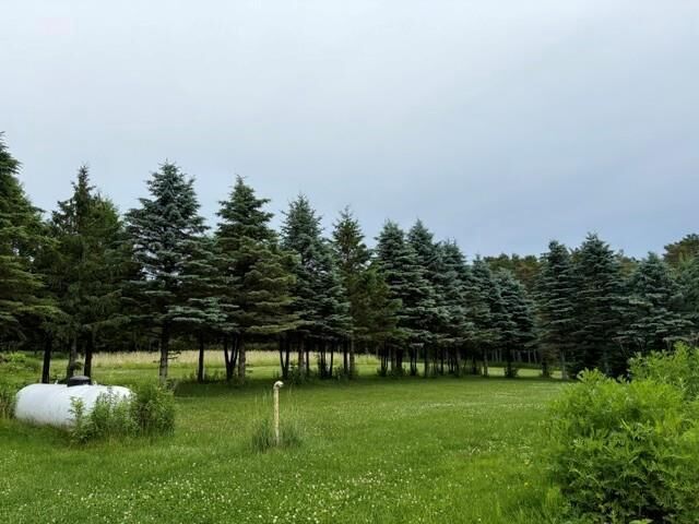 Property Photo:  157014 Restlawn Road  WI 54403 