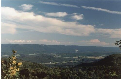 Property Photo: 298 Fieldstone Lane TN 37367