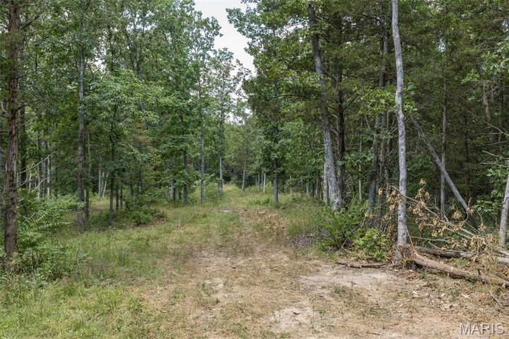 Property Photo: 0 Dodson MO 63020