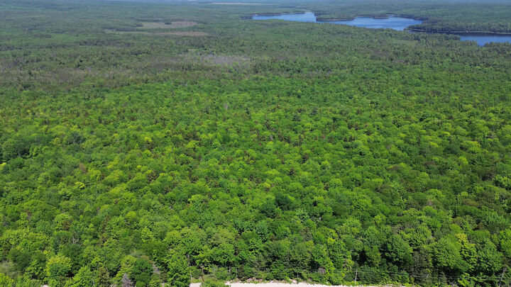 Property Photo:  Lot 3 Martins Ridge Road  ME 04634 