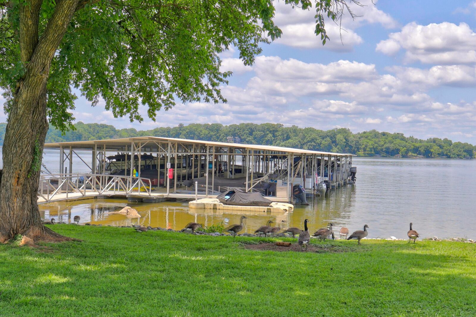 Property Photo: 105 Tanasi Shr S TN 37066