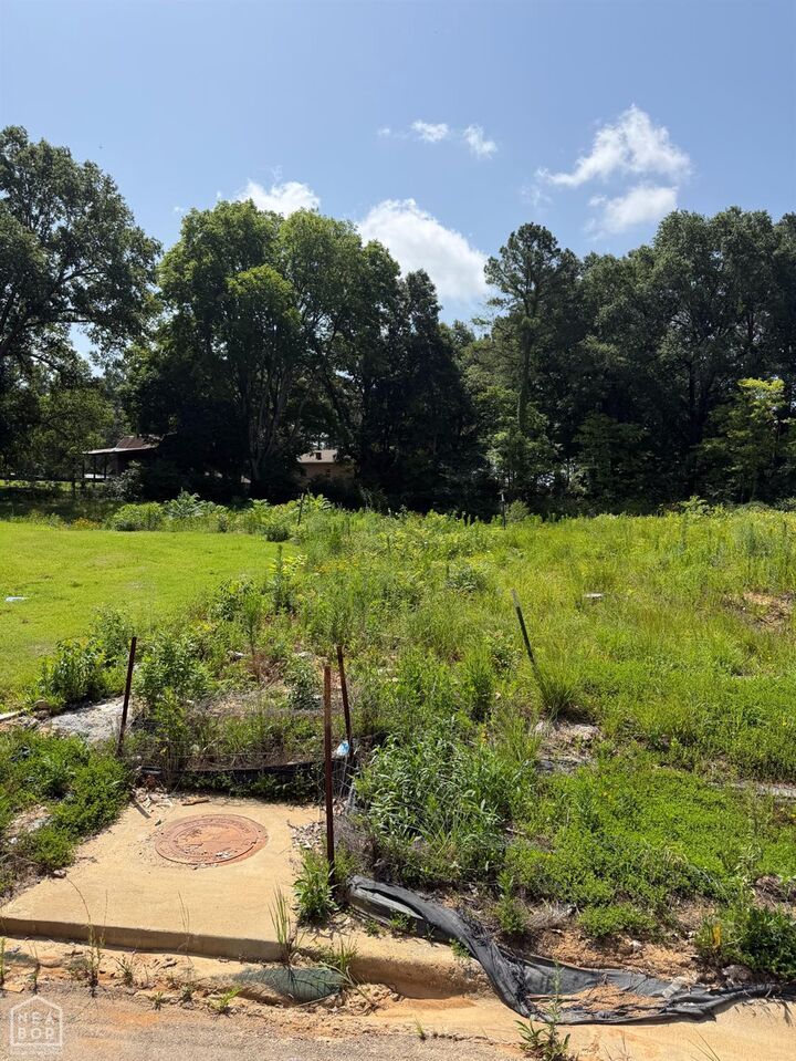 Property Photo: 4316 Stoke Drive AR 72405