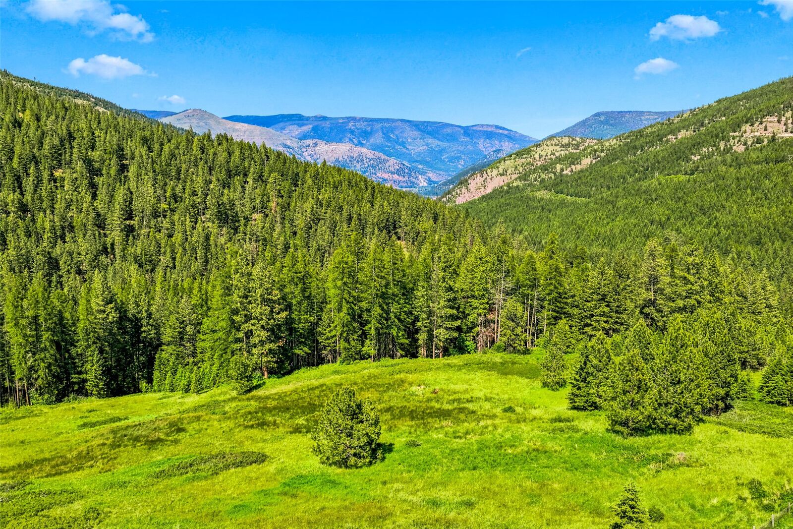 Property Photo:  Nhn Pattee Canyon Road  MT 59803 