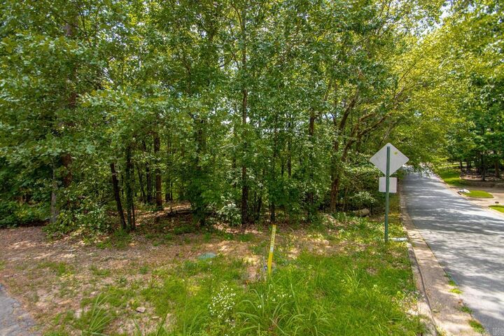 Property Photo: 13001 Ridgehaven Road AR 72211