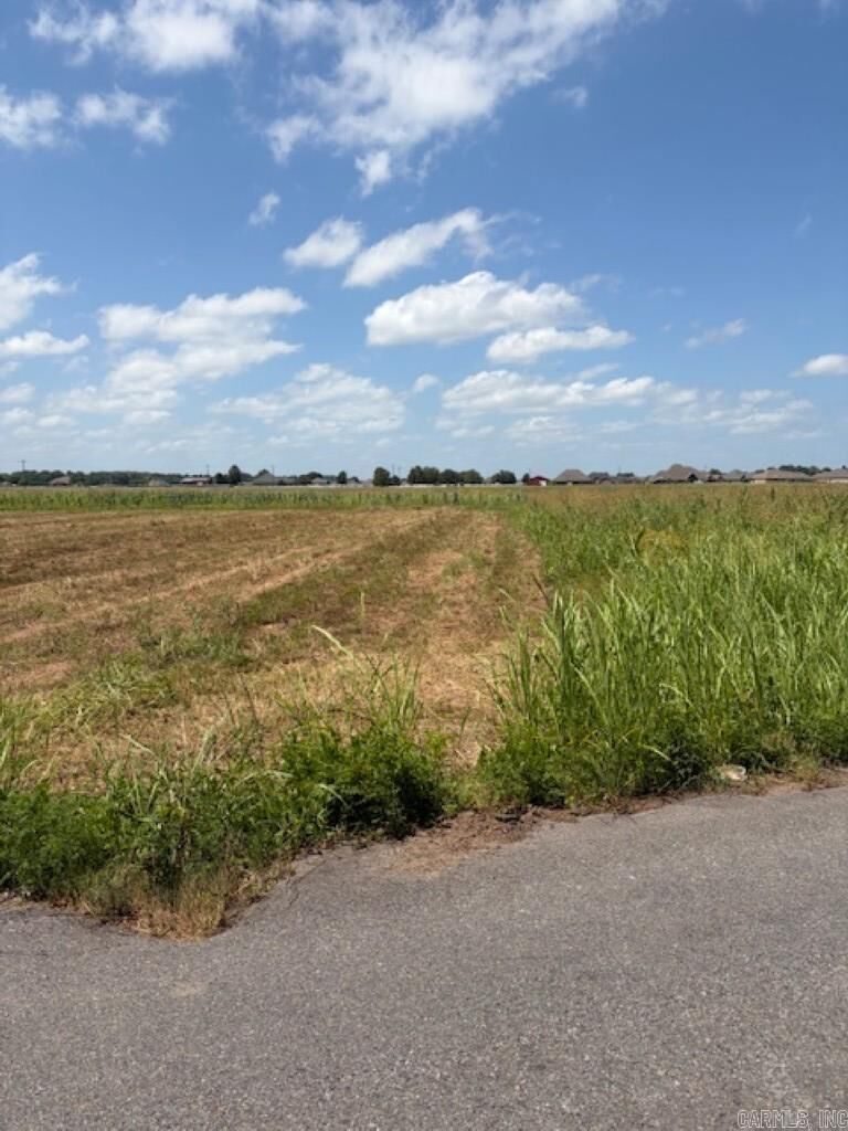 Property Photo: Lot 10 Upper Steel Bend Road AR 72142