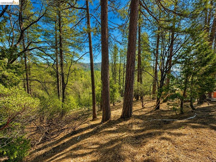 Property Photo: 23804 S Oxbow Lane CA 95370