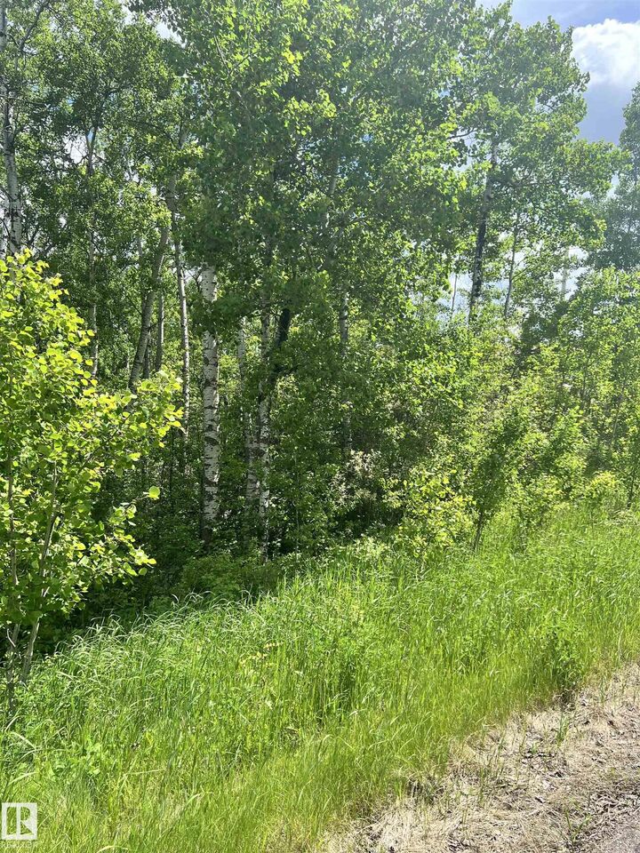 Property Photo: 63 Coney Drive AB T0A 3A0
