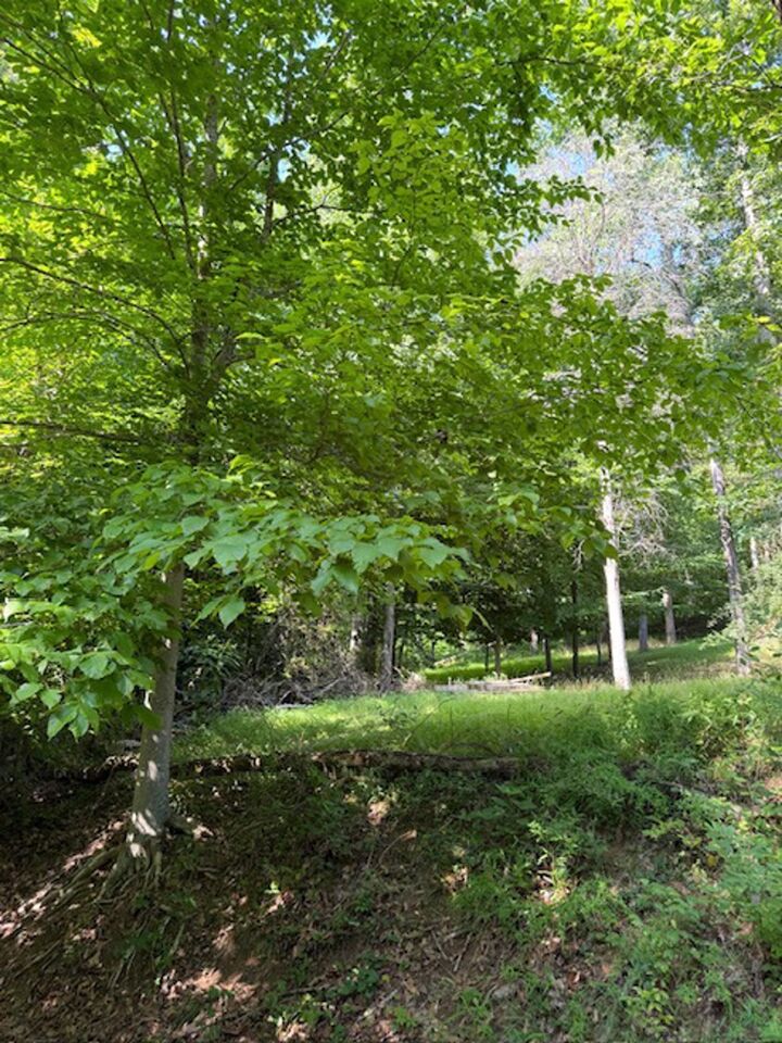 Property Photo: Amey Drive WV 25504