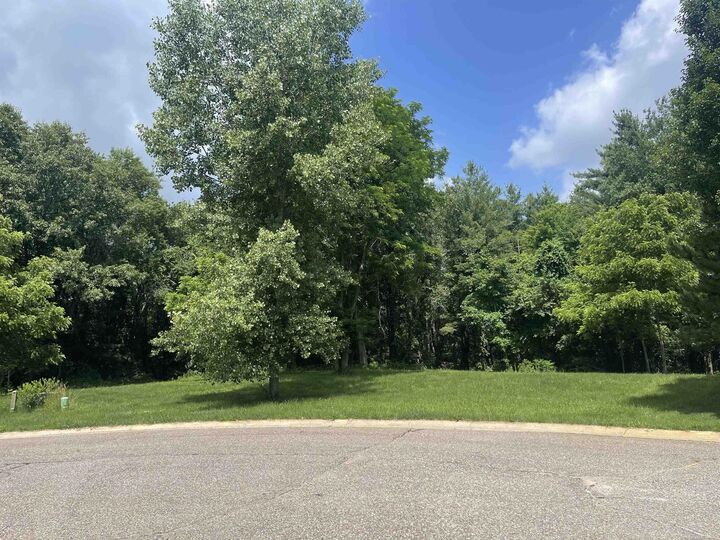 Property Photo:  0 Donna Lane  MI 48428 