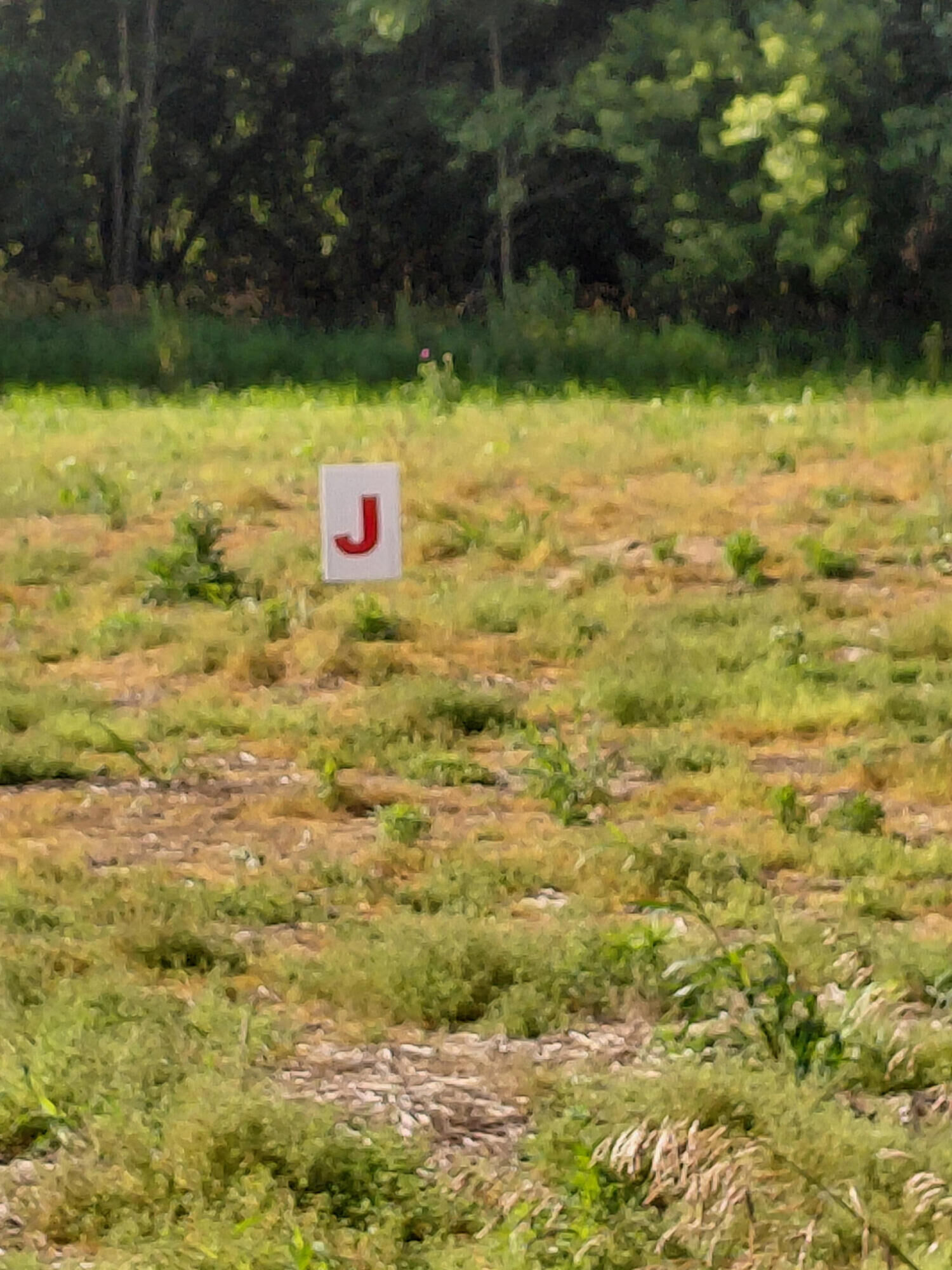 Property Photo: Stony Lake Road MI 49201