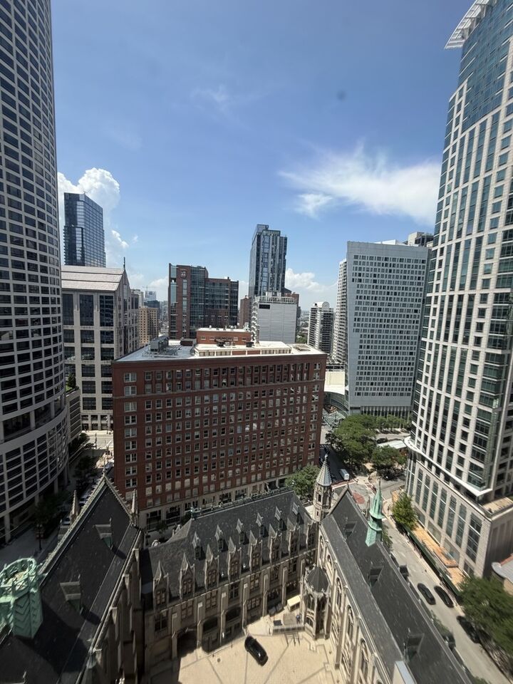 Property Photo: 111 E Chestnut Street 24G IL 60611