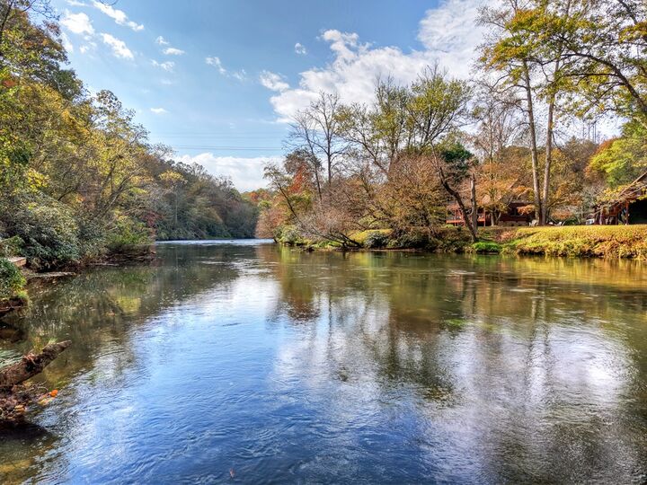 Property Photo:  577 Blackberry Drive  GA 30559 