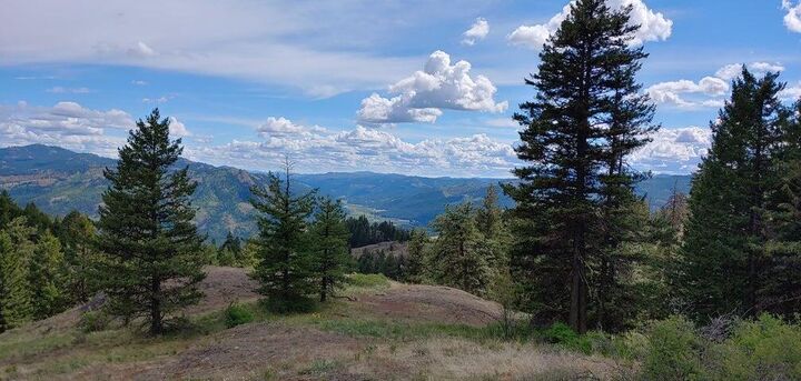 Property Photo: Tbd Stacy Rd WA 99166