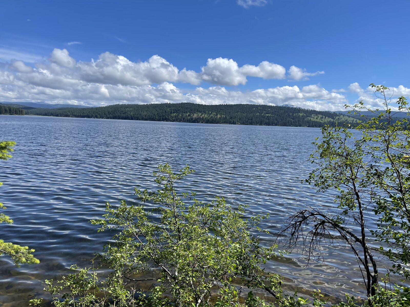 Property Photo: 1042 Placid View Place MT 59868