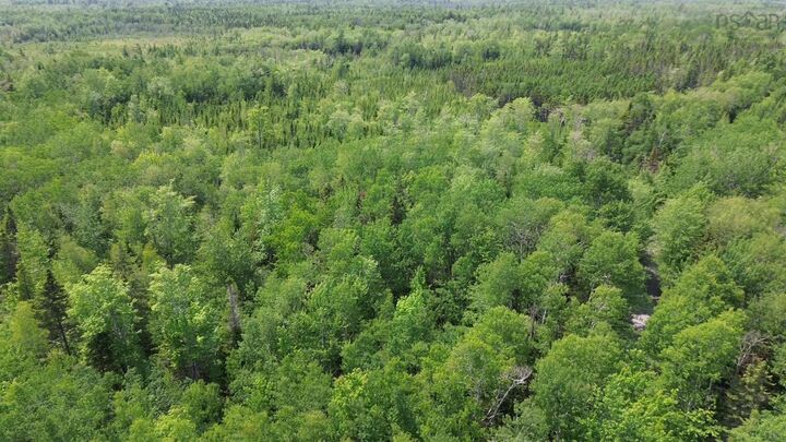 Property Photo:  Lot Siding Road  NS B0K 1V0 