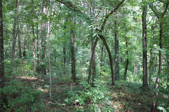 Property Photo: Lots 42 & 43 Craigwood Circle AR 72801