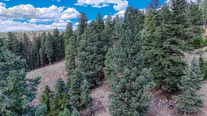 Property Photo: 783 Bennett Drive CO 80813