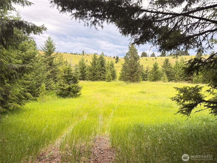 Property Photo:  12 S Teal Lake Road  WA 98844 