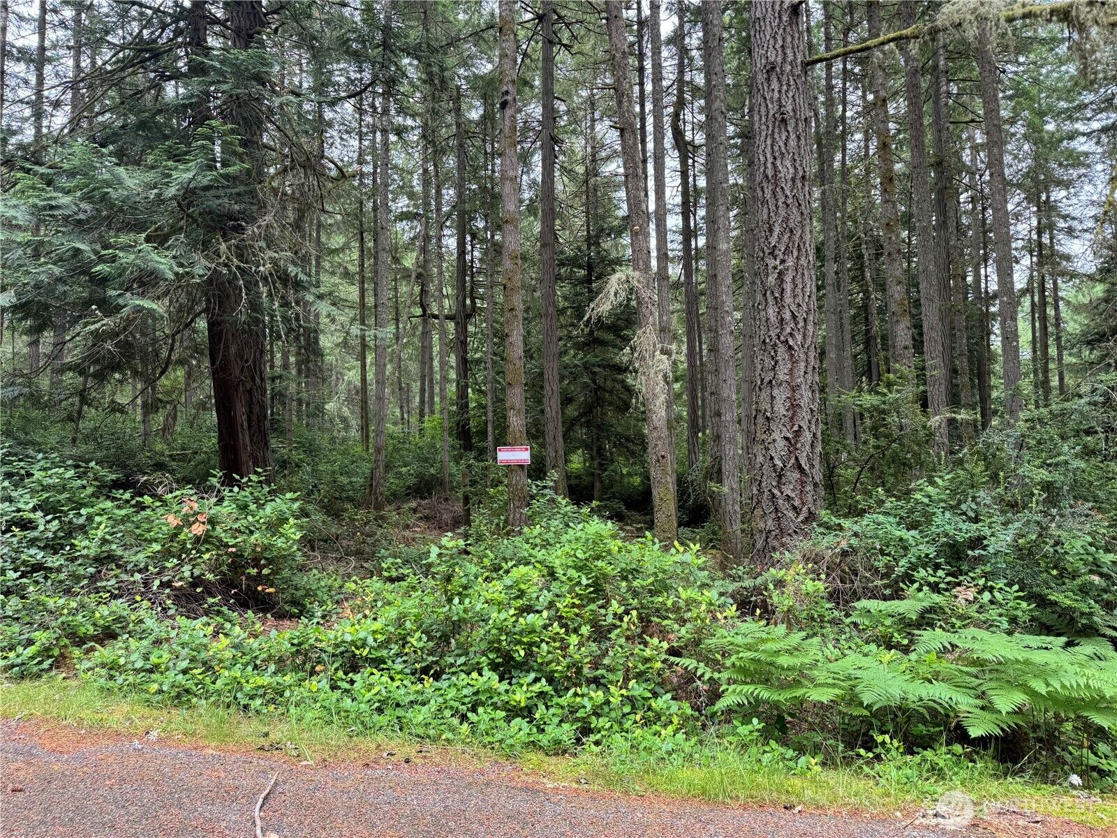 Property Photo:  11308  114th Street Ct  WA 98303 