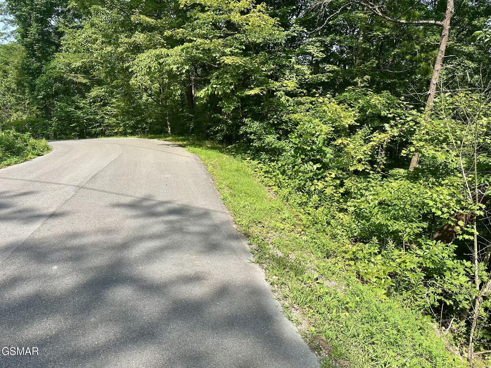 Property Photo: 0 Dogwood Drive TN 37876