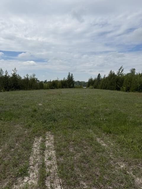 Property Photo: Moonlight Bay Road MI 49721